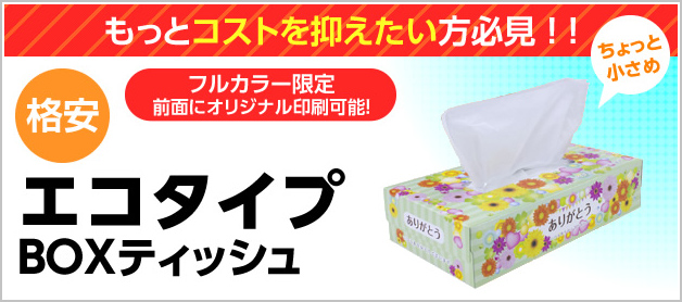 もっとコストを抑えたい方必見!! エコタイプBOXティッシュ